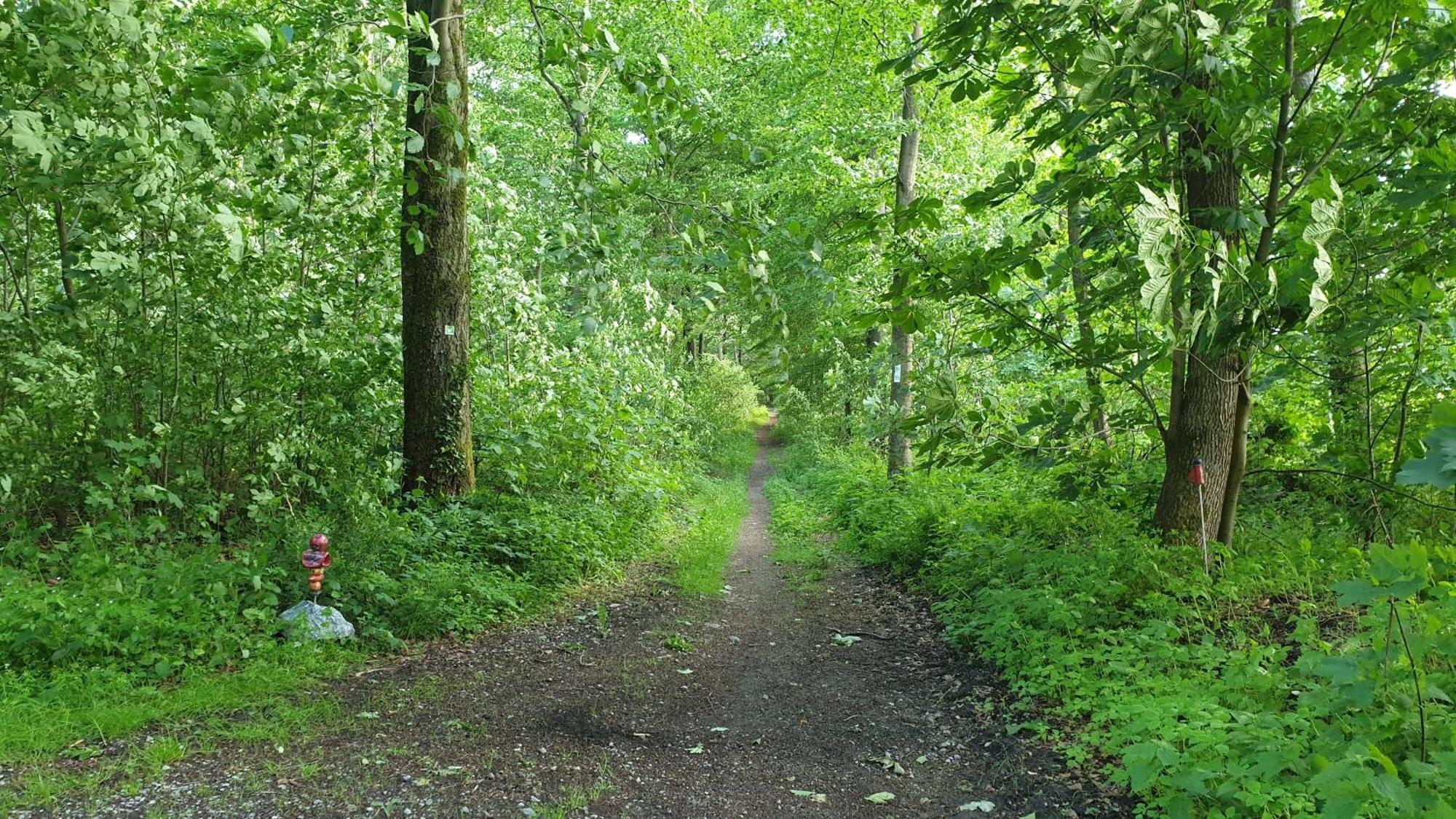Fewo Herbst In Der Villa Waldrand Mit Luxus Bad Bad Wünnenberg Exteriér fotografie